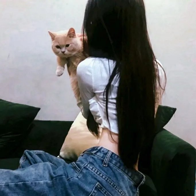 玉女芳心