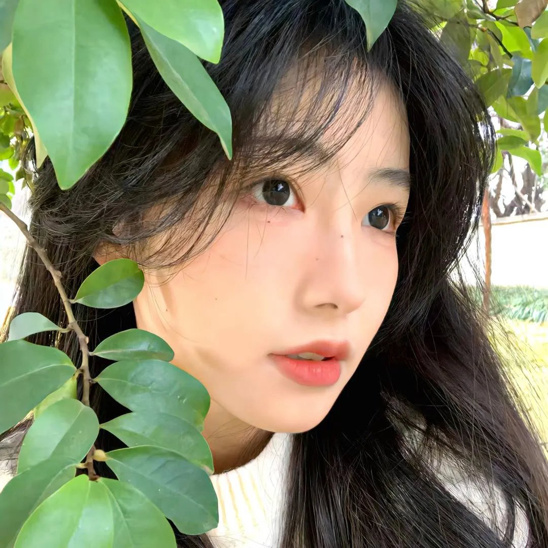 女士万岁